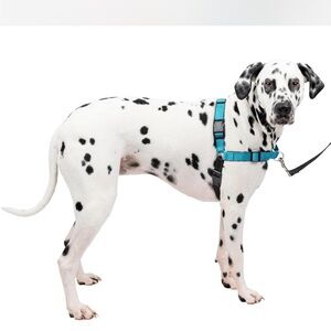 PetSafe Teal Dog Harness
